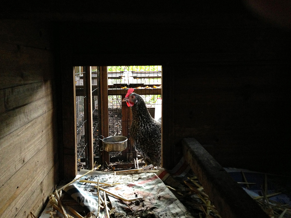 Photography by Artist & Illustrator James Martin