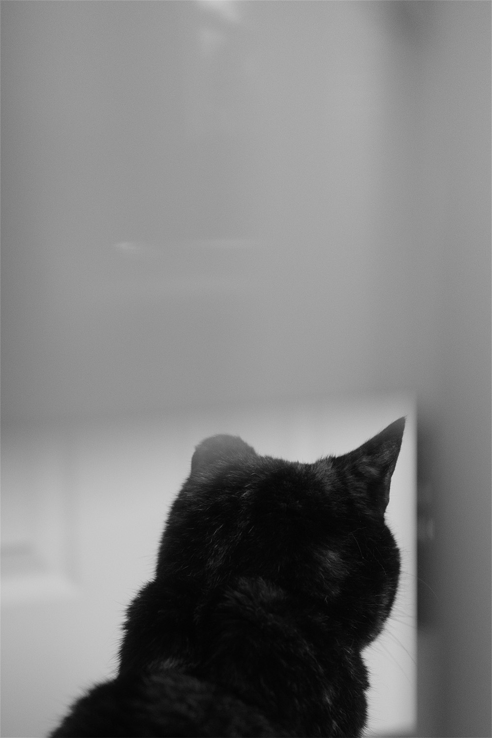 Photography by Artist & Illustrator James Martin